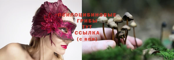 мяу мяу мука Богородицк