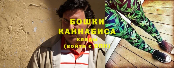 apvp Богданович