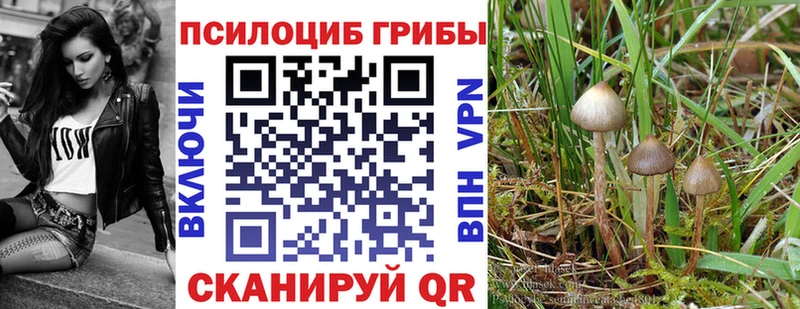 купить наркотики сайты  blacksprut как войти  Галлюциногенные грибы MAGIC MUSHROOMS  Называевск 